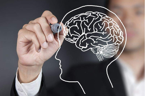 Перехитри свой мозг_ Заставь его работать себе на _0.png